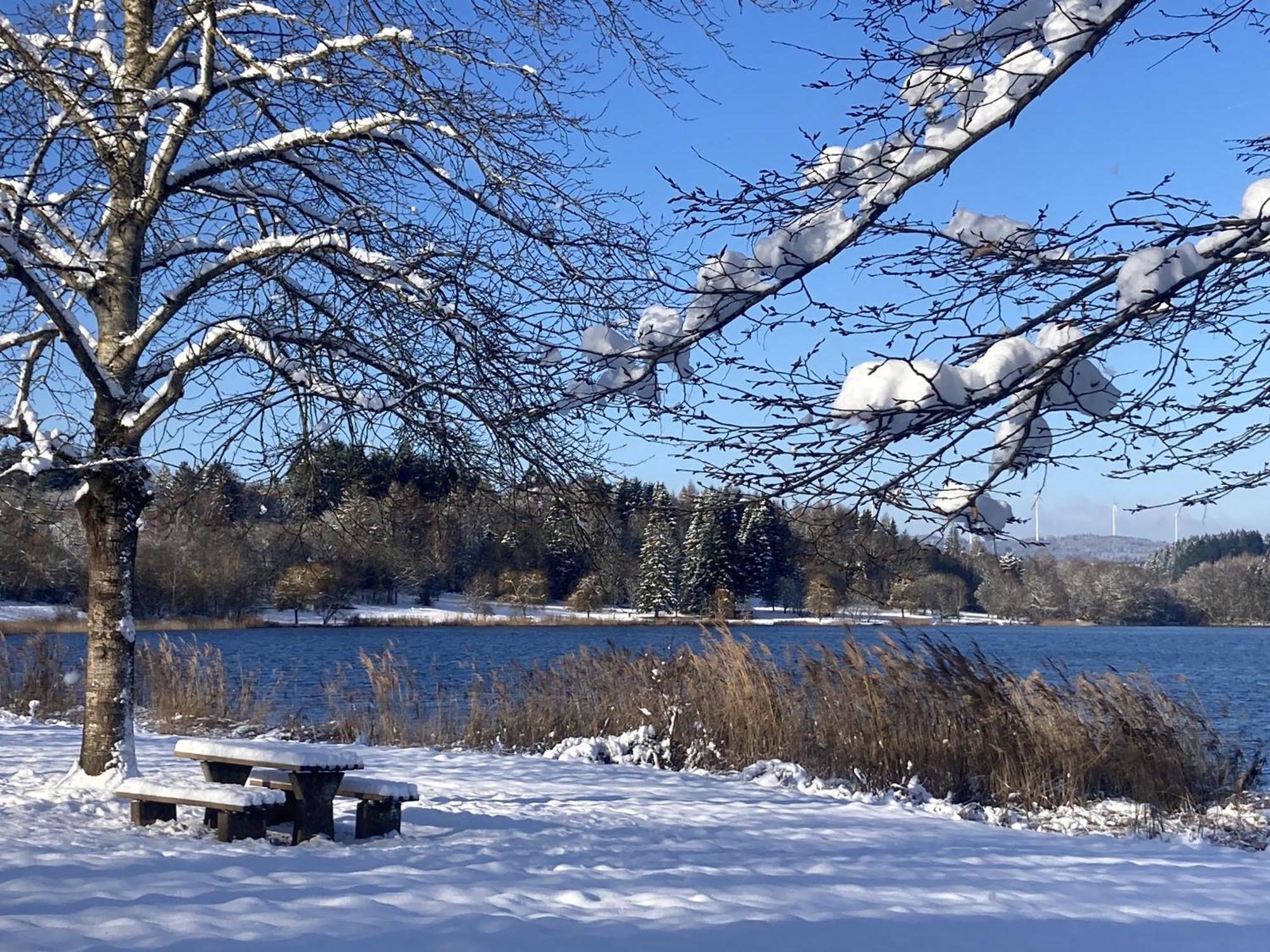 Draussen Am See Losheim Exterior foto